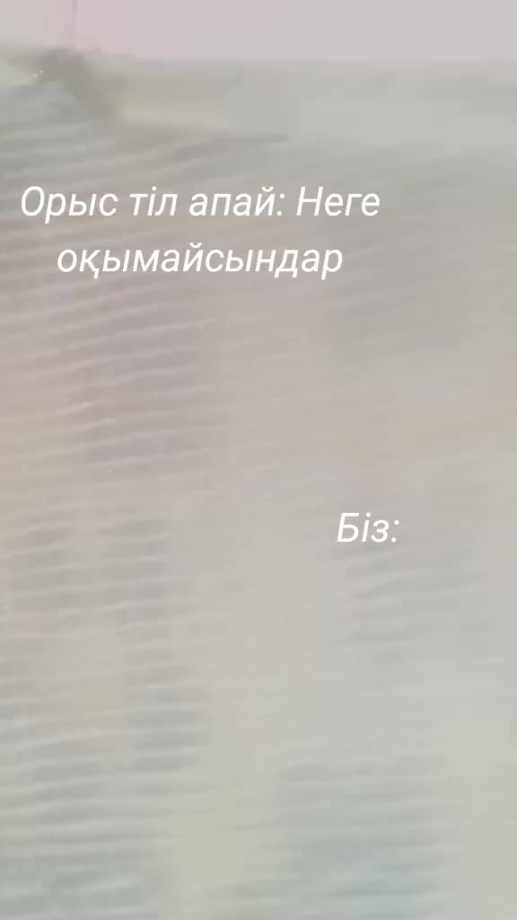 @๐๐ฎ๐ผ"๐ถ๐"๐ค