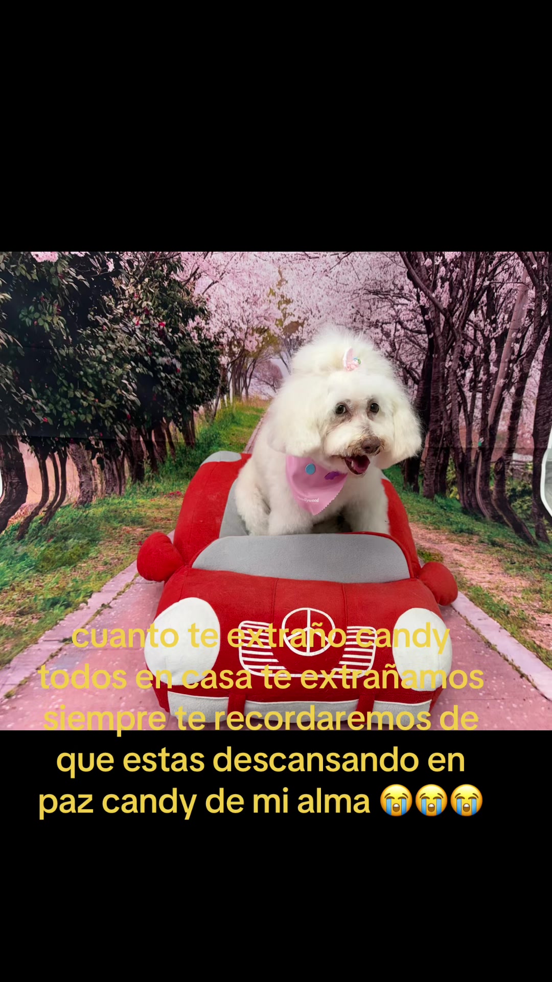 @Margarita Valdez
