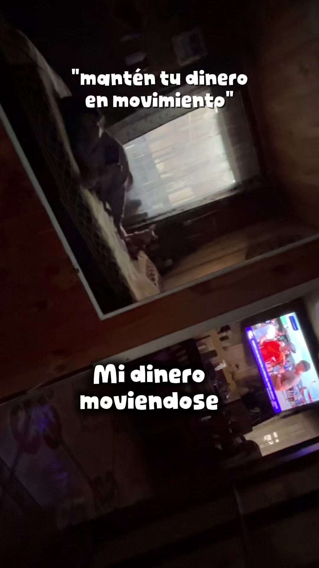 @Tami🐷📌