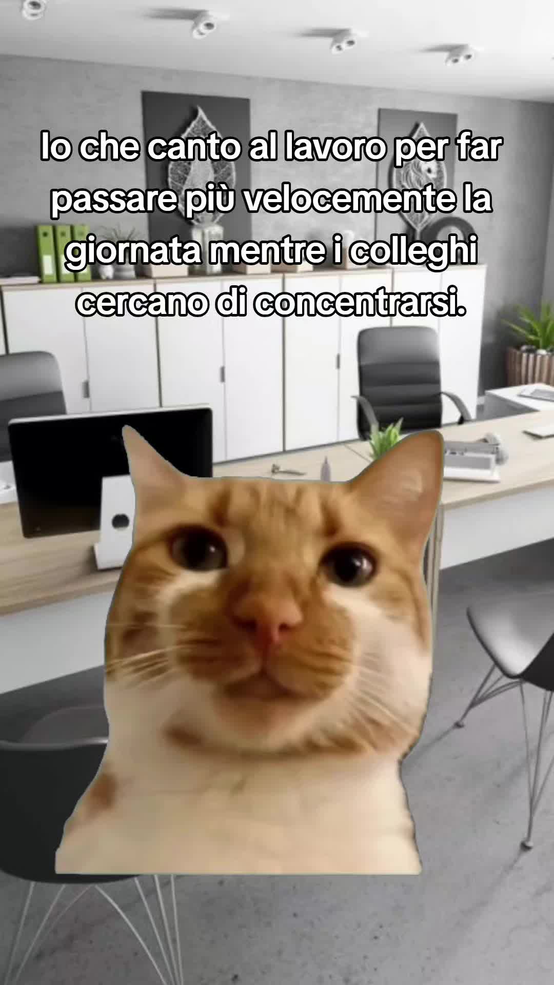 @Stefano Cr80