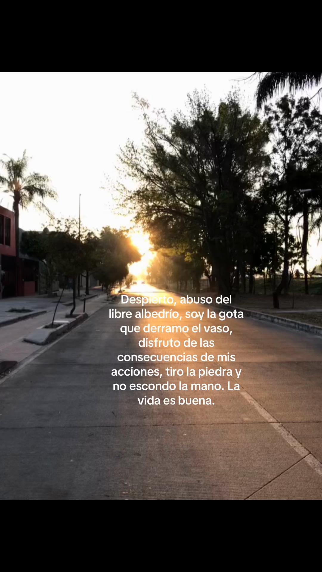 @Diana Bernal