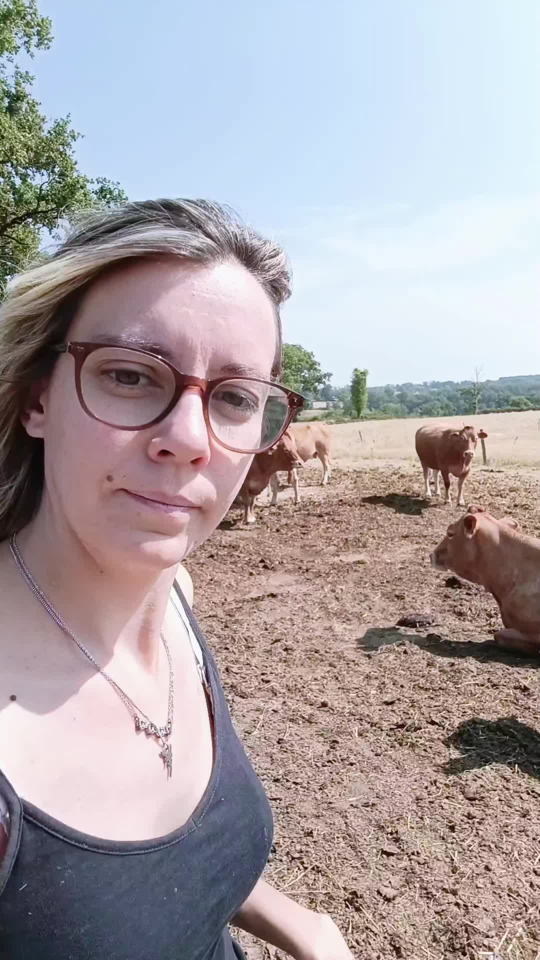 @Ludivine 🪶🐶🐮
