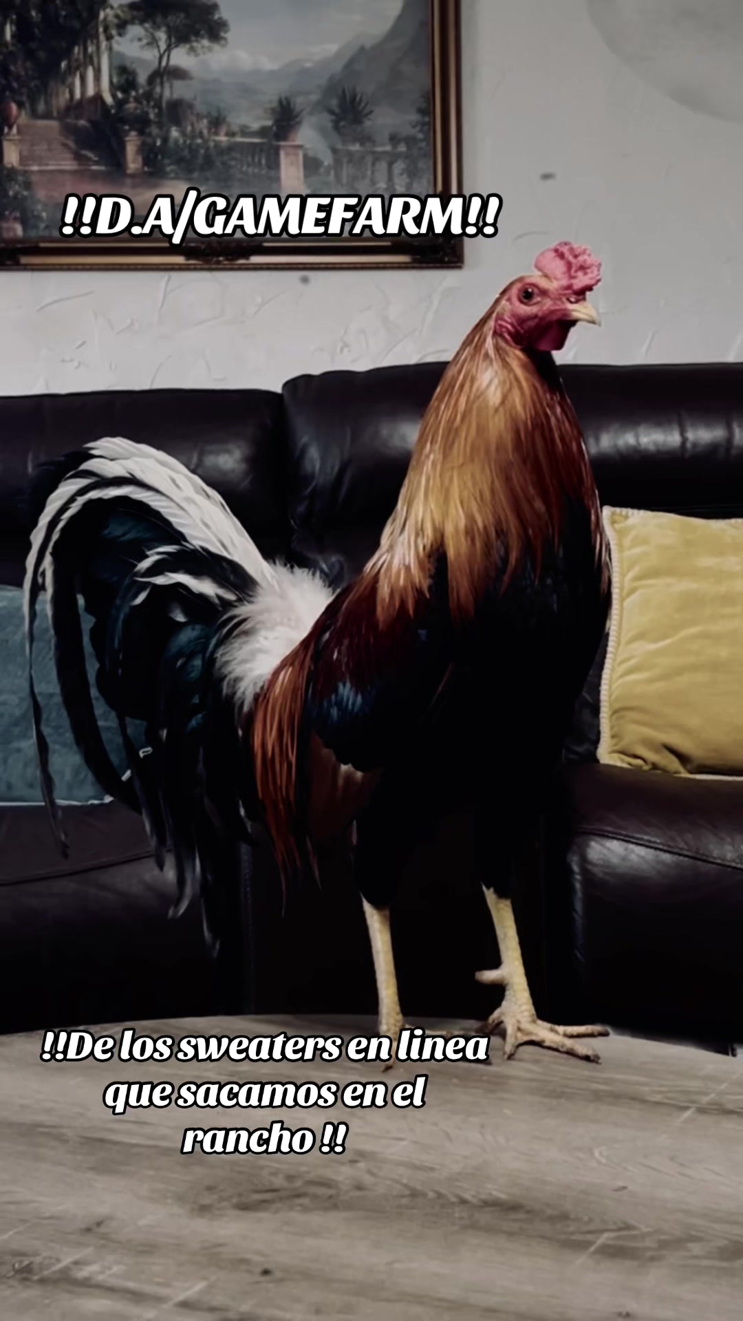 @DAgamefarm