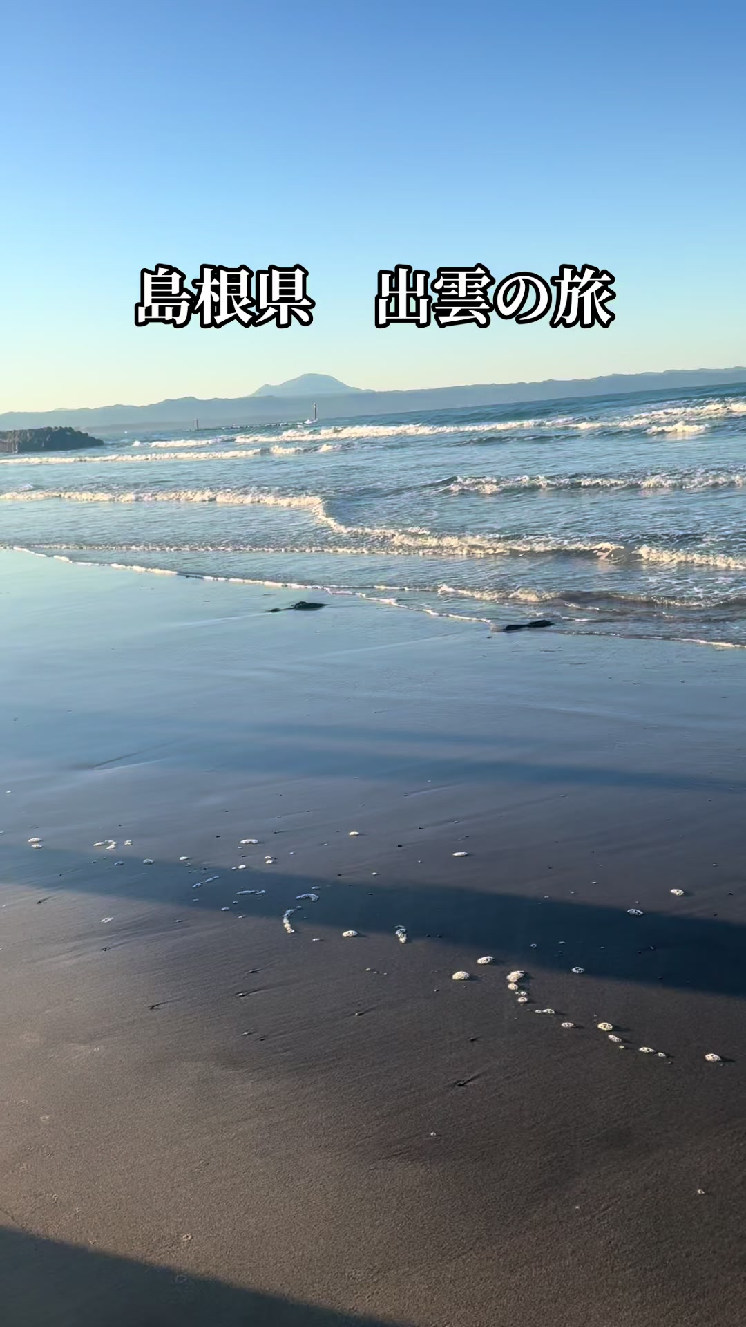 @亀丸水産社長🐢