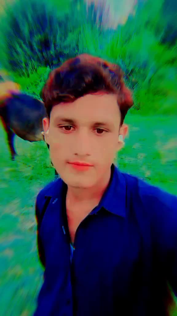 @Malik Sajeel