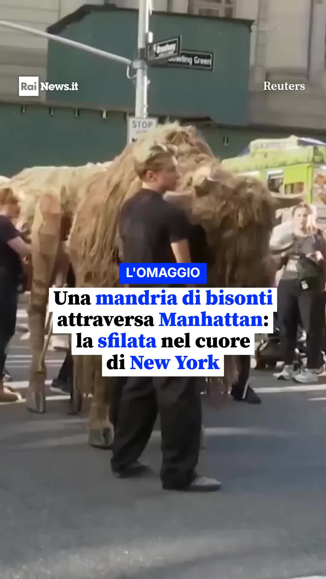 @RaiNews