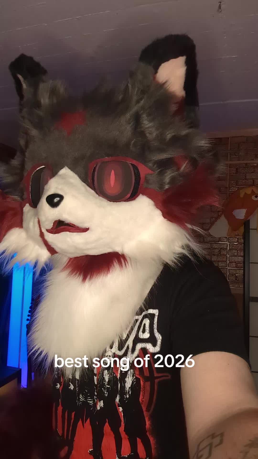 @Raphaelthefurry