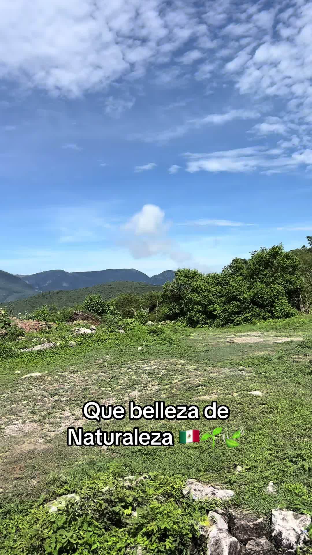 @Yare lugo