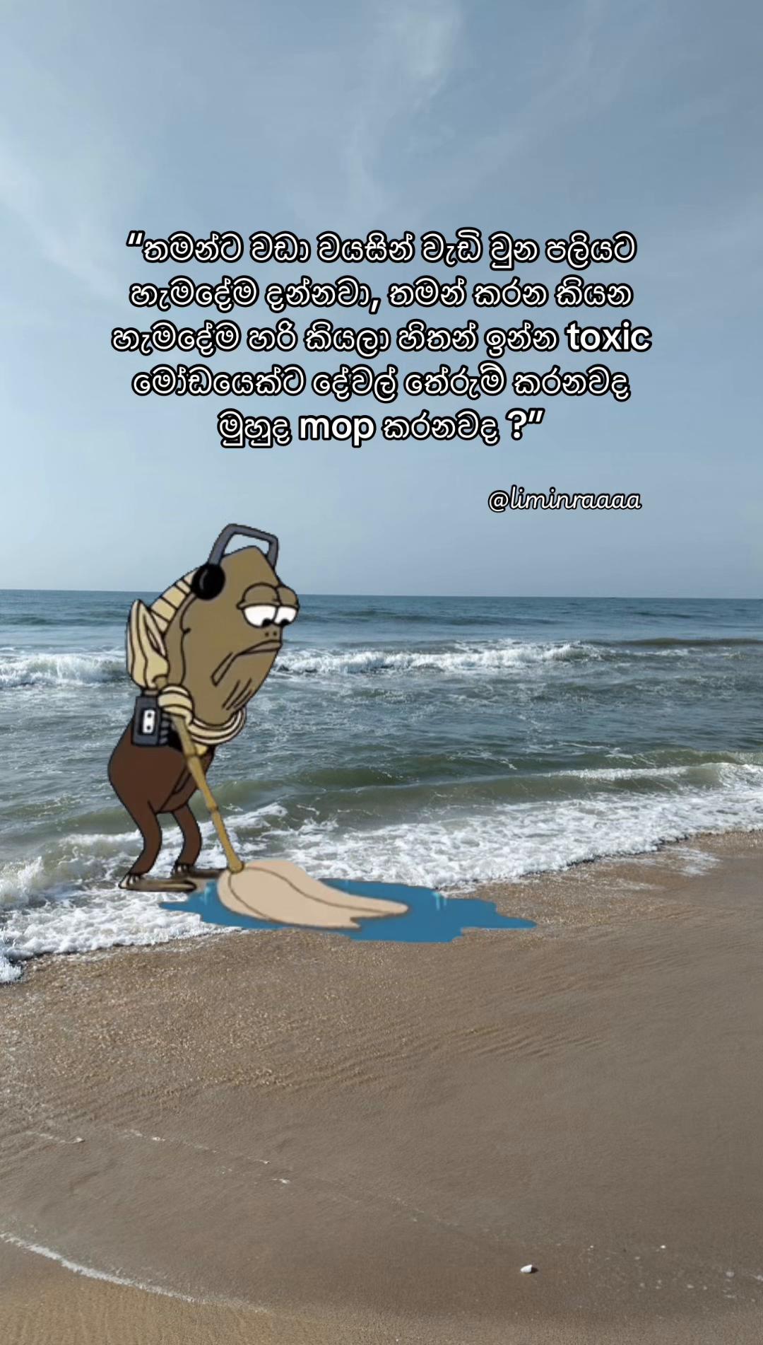 @Lisumi Jayawardana