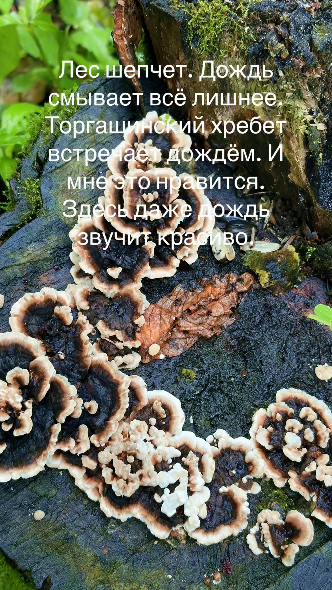 @Anna Butimova