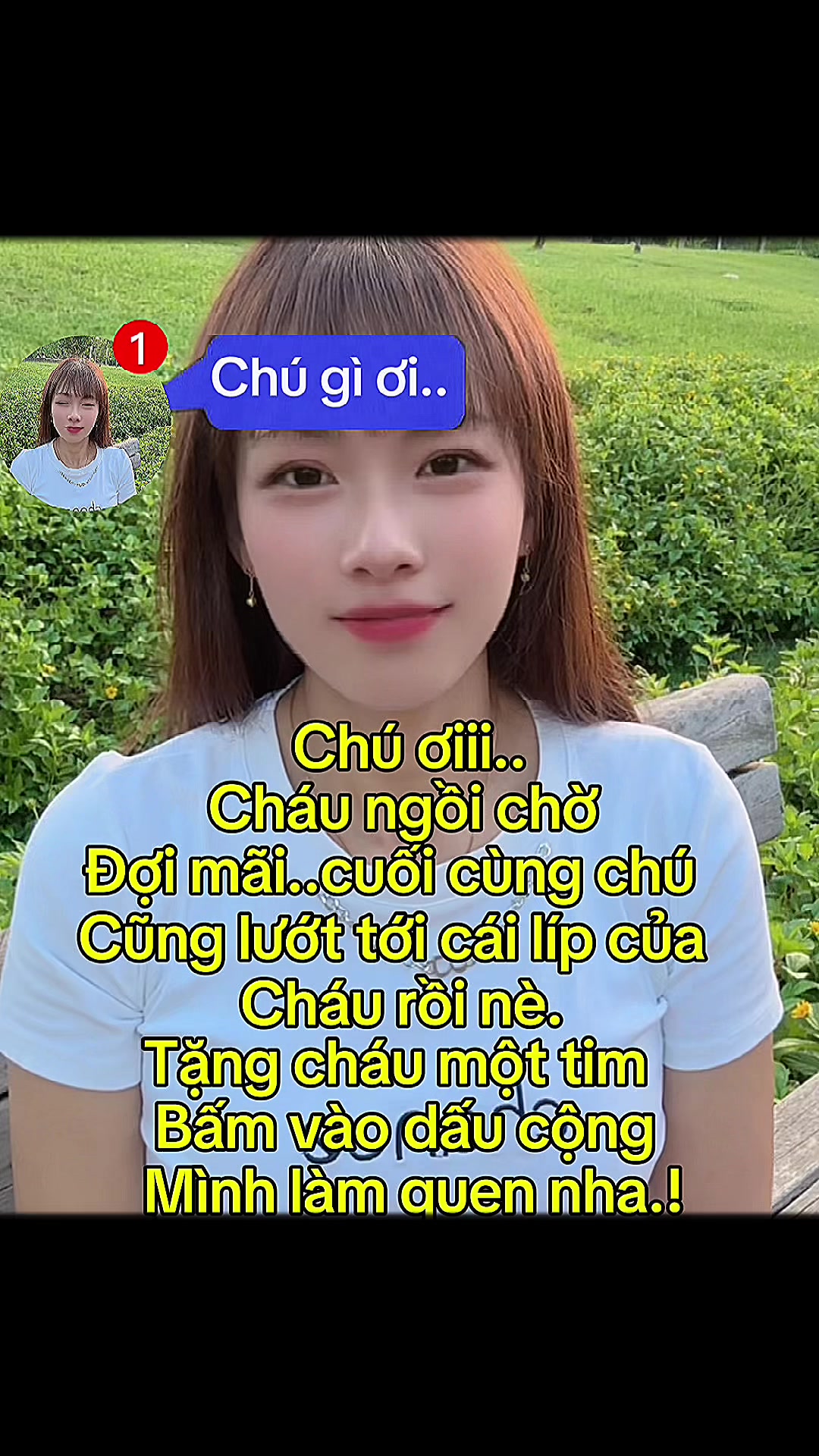 @KIẾN LỬA (螞蟻 )