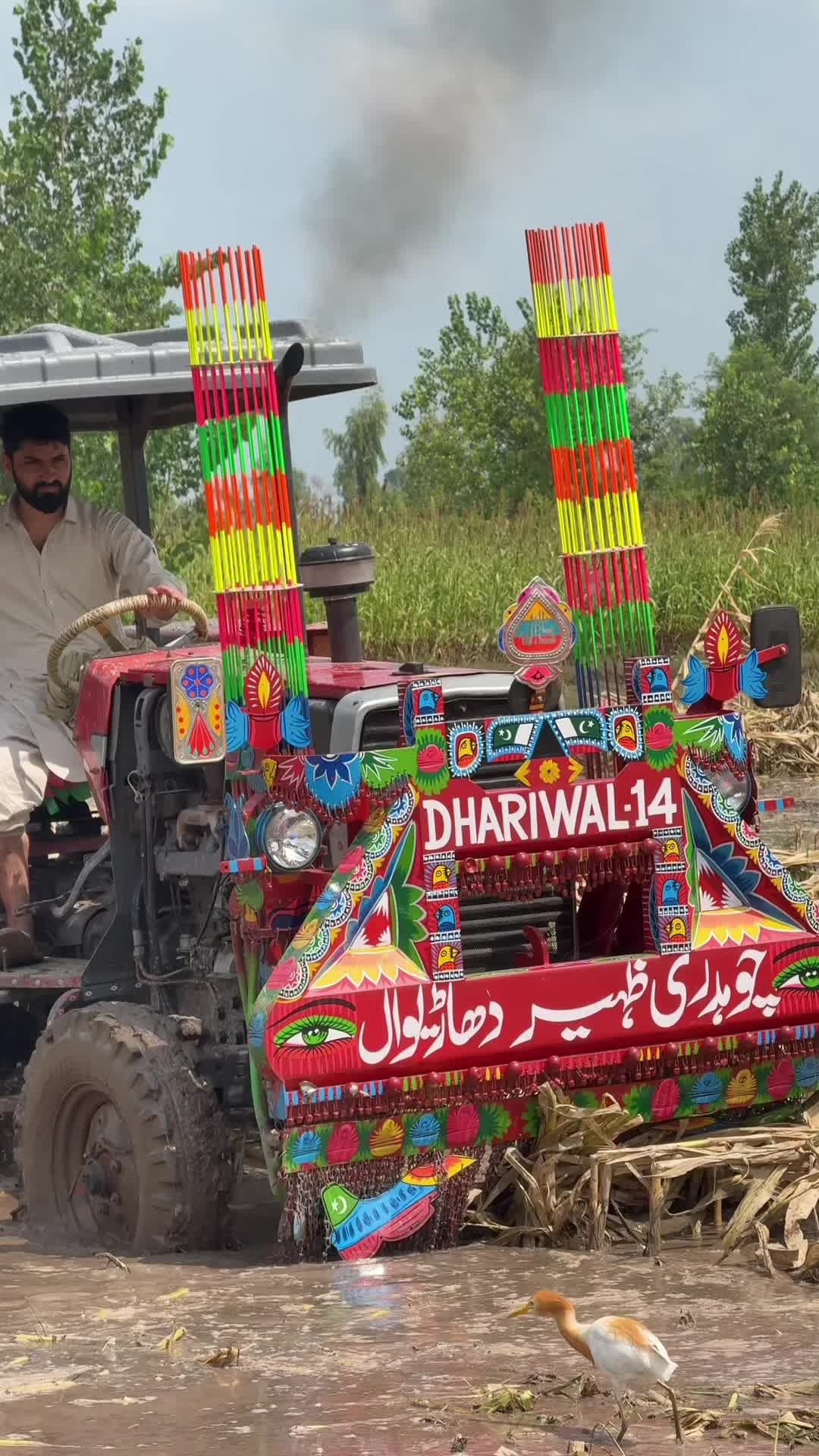 @Zaheer Dhariwal