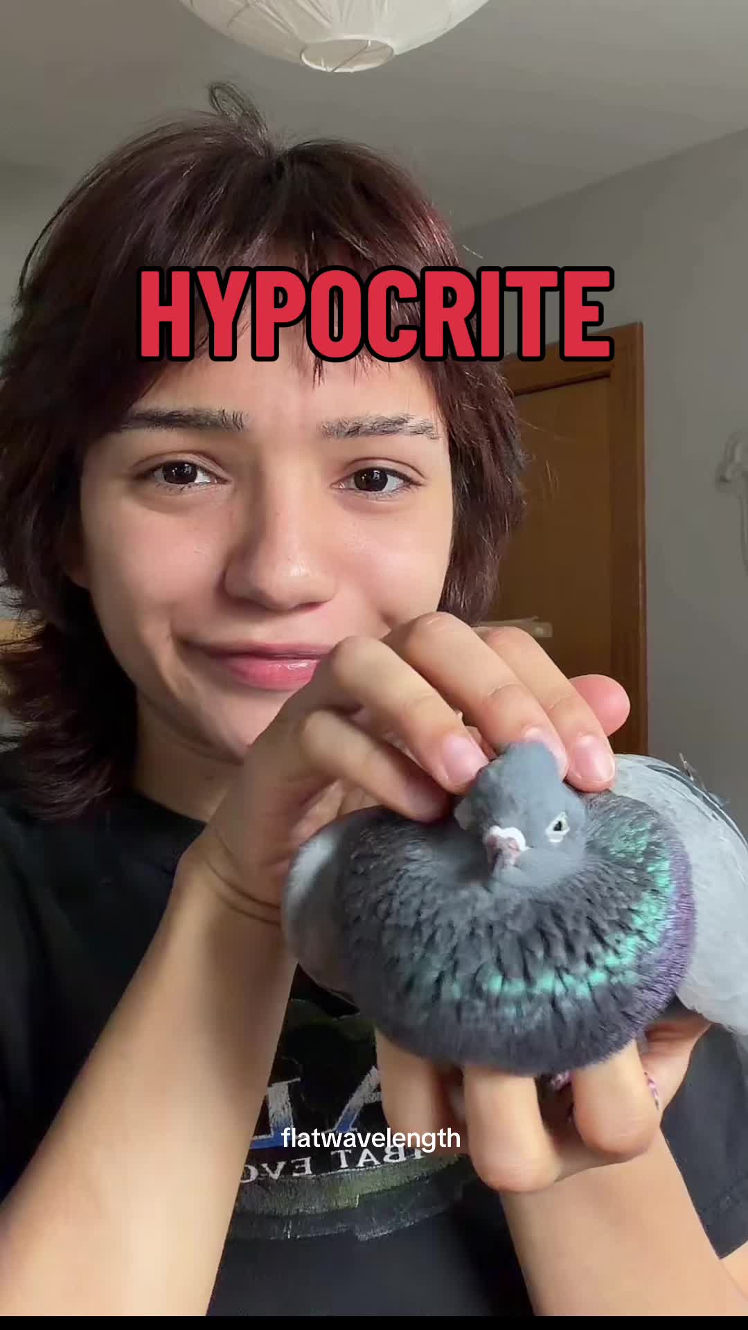 @flatwavelength
