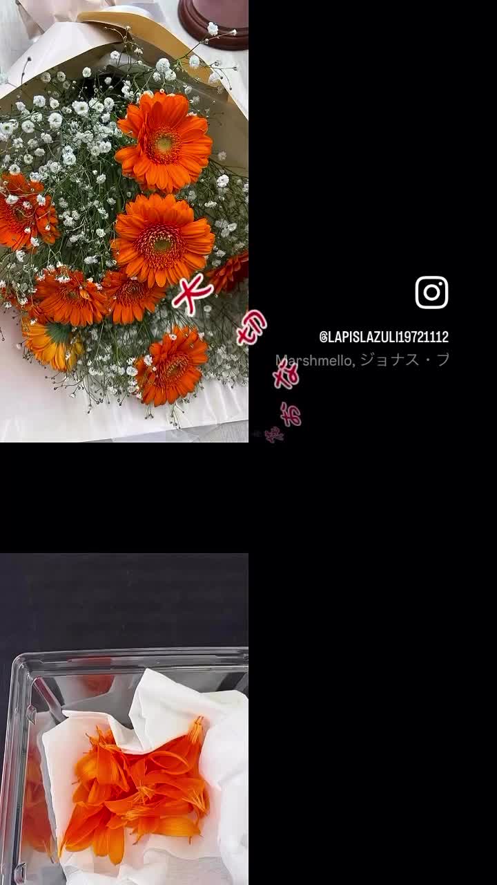 @lapislazuli19721112