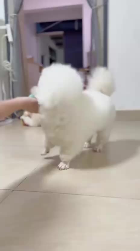 @Funny