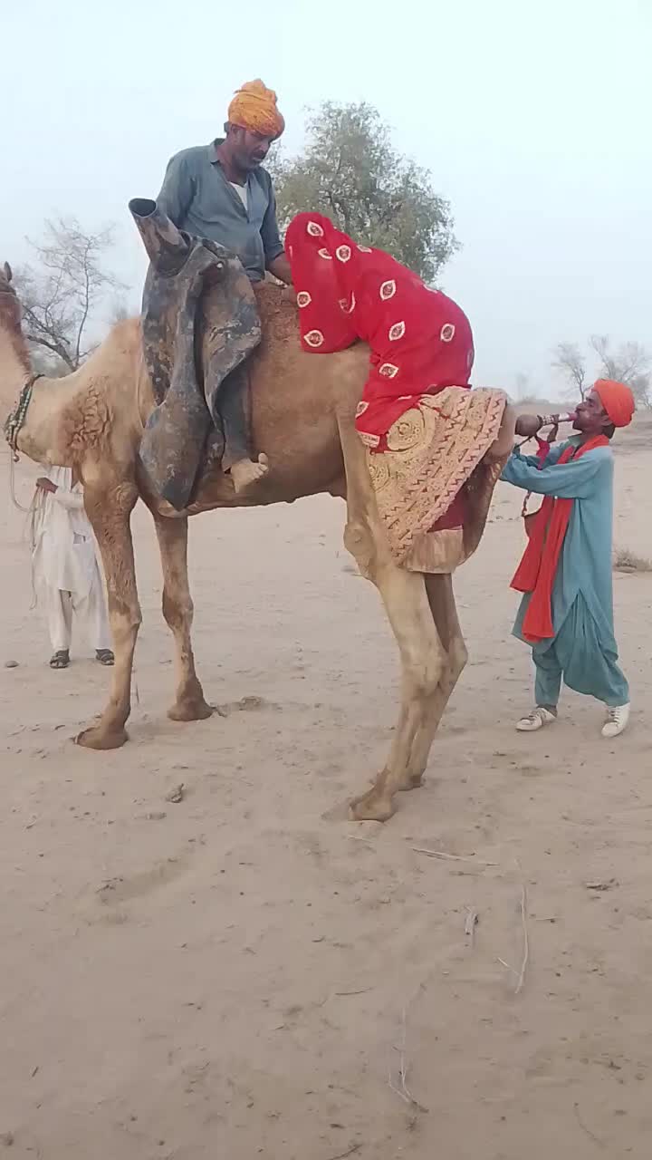 @Sakina 🐪