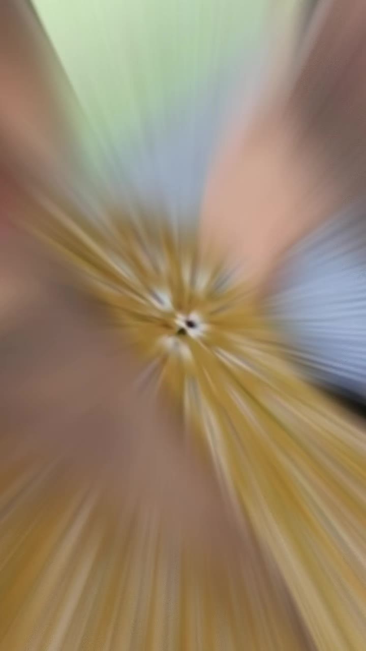 @⚽️◦&bull;🖤◉✿ 𝑹𝒂𝒐✿◉🖤&bull;◦⚽️