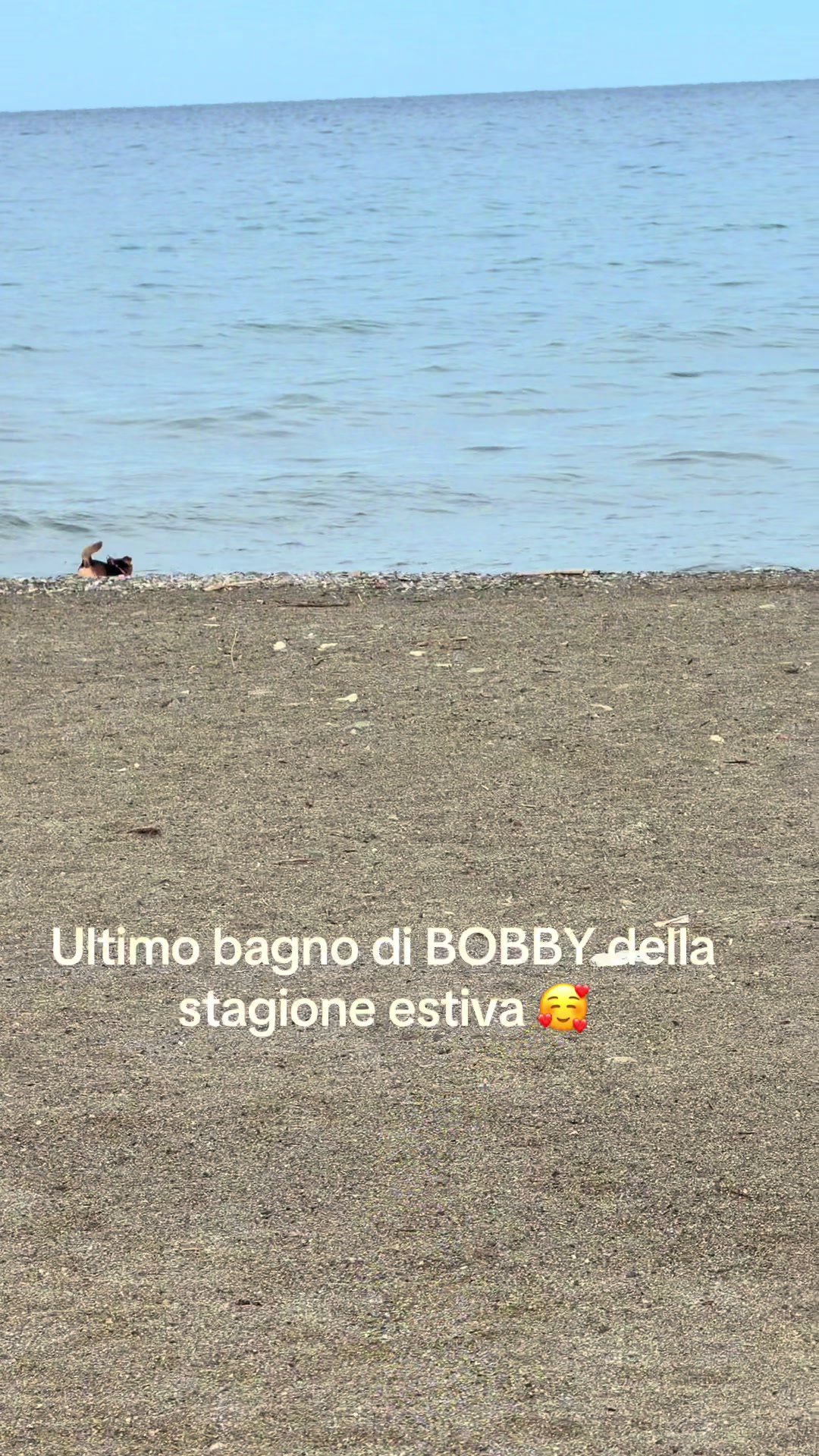 @๐พ Bobby e Bam ๐