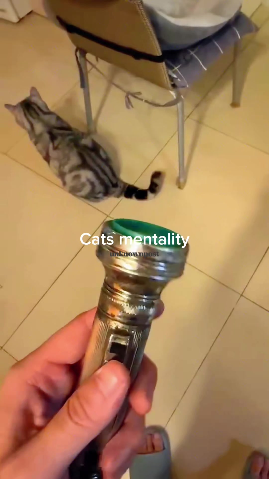 @MLmemes