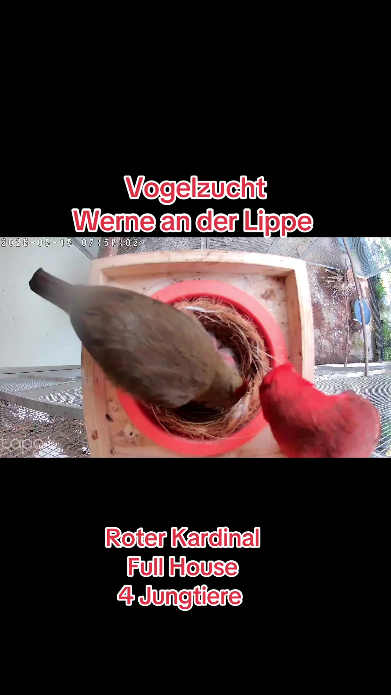 @Vogelzucht Werne an der Lippe