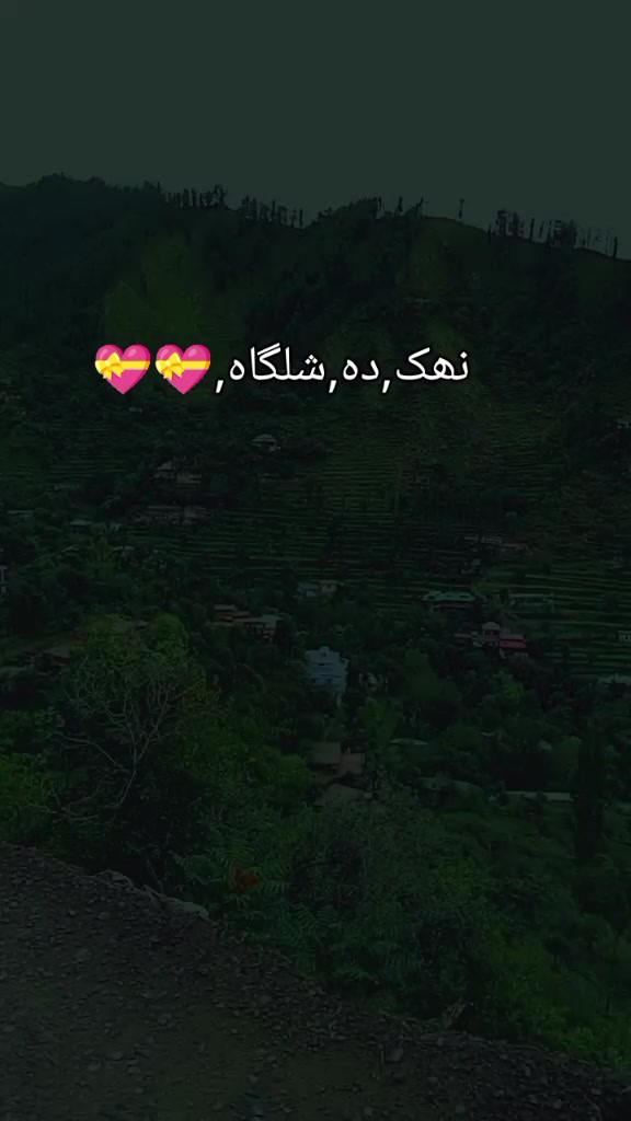 @تاج,الردین🇵🇰🇦🇪