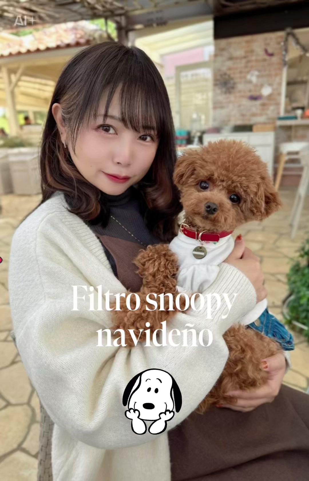@äžæ¬yui*ð¶