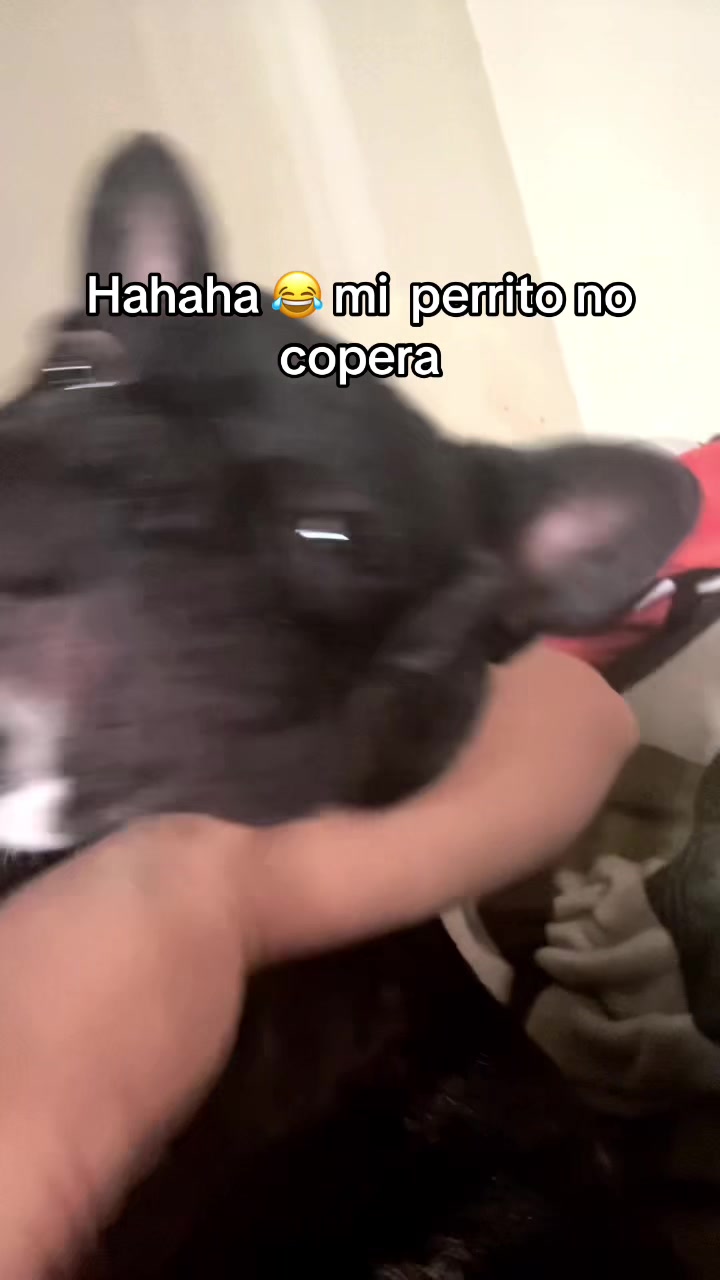 @Dianita1998