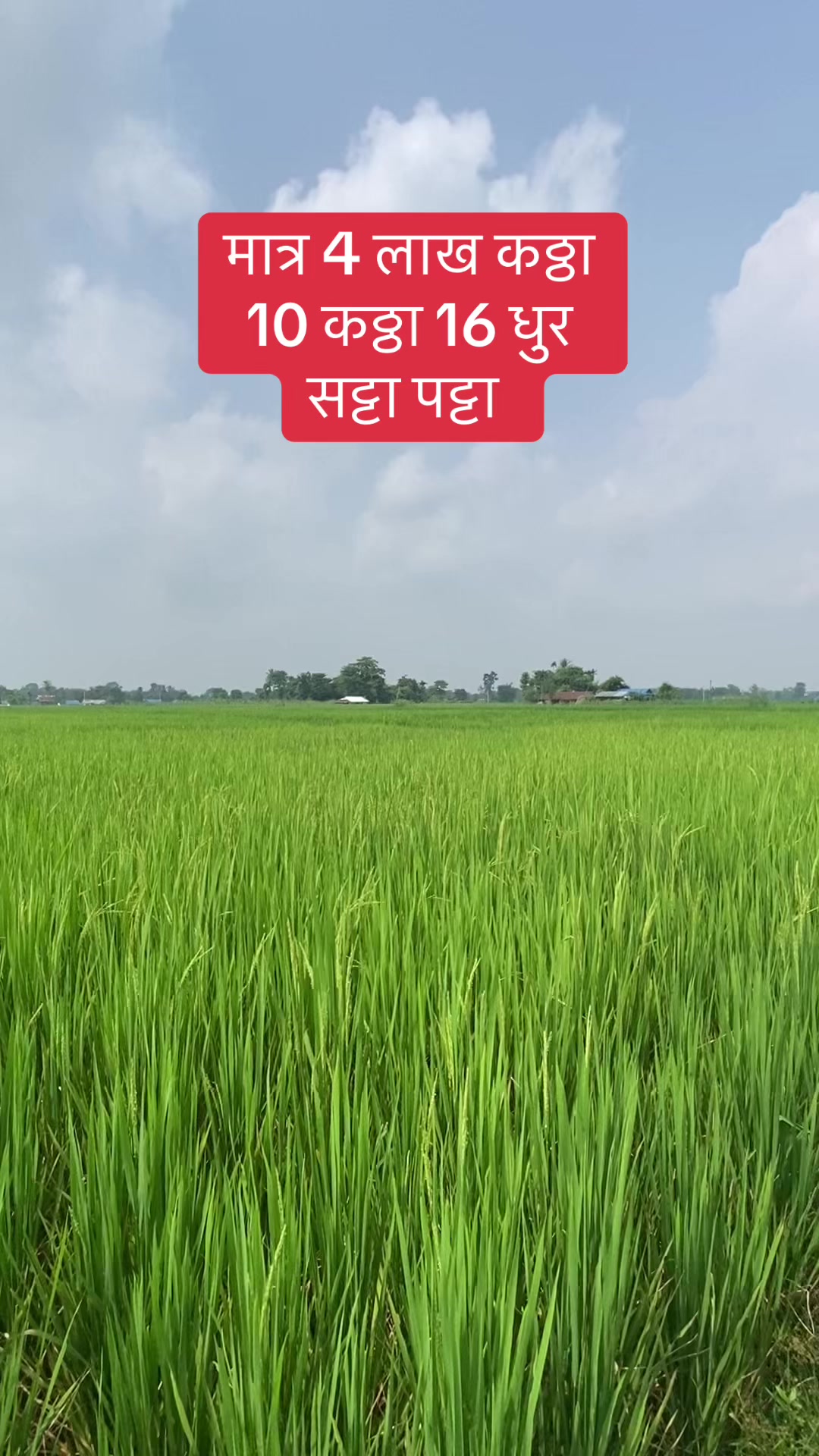 @Bhuban Thapa Real Estate