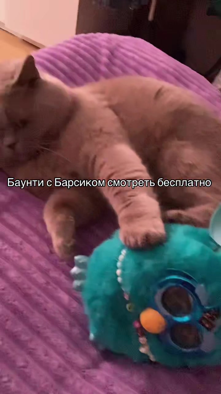 @🍥🍵фёрби Баунти(> w <)🍙🍢