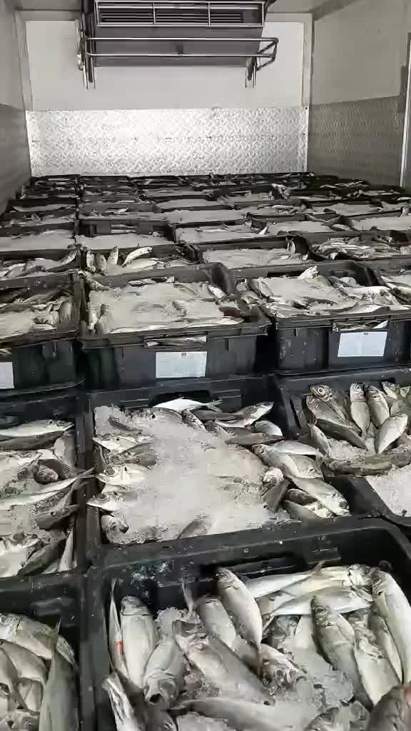 @Fouad p&ecirc;cheur