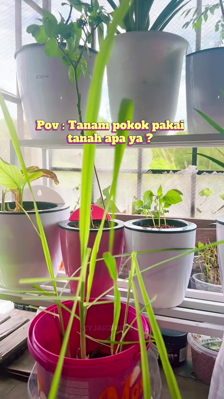 @แดฦณแแฉ ๐