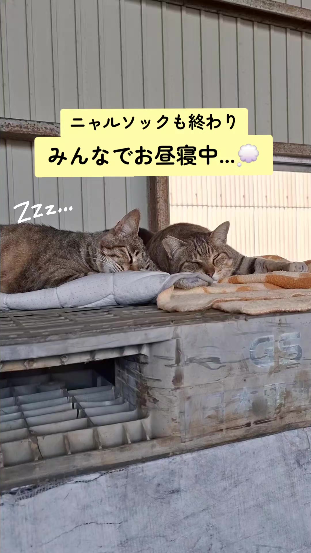 @【公式】株式会社真宮|三重