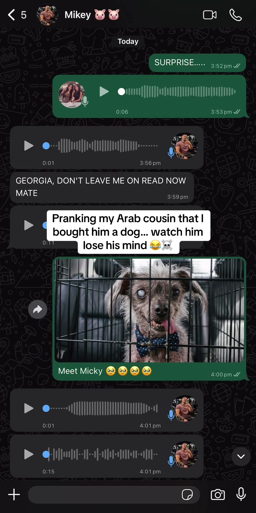 @georgia.bacash 🇱🇧🇦🇺