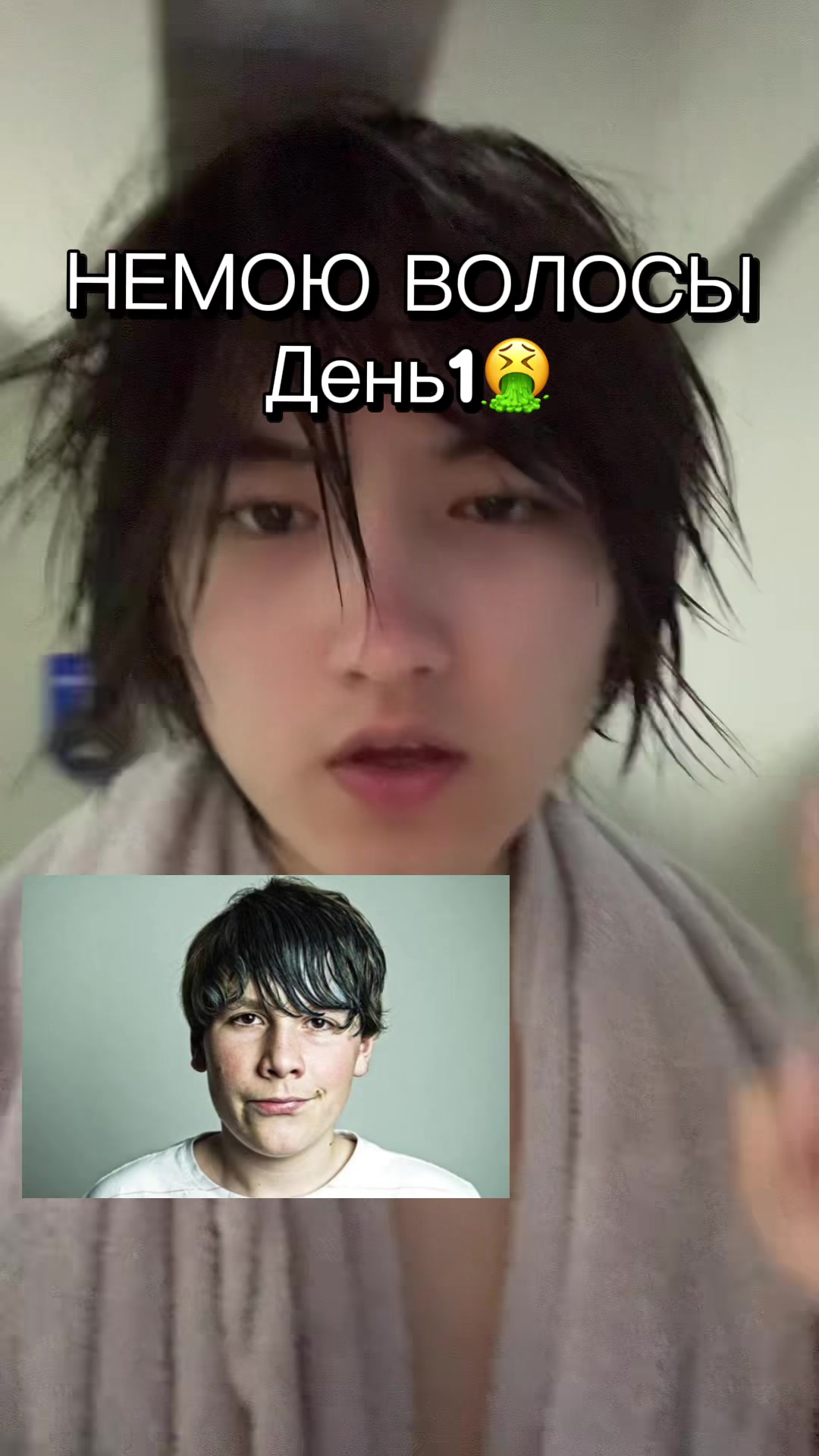 @MeirYandex🚩
