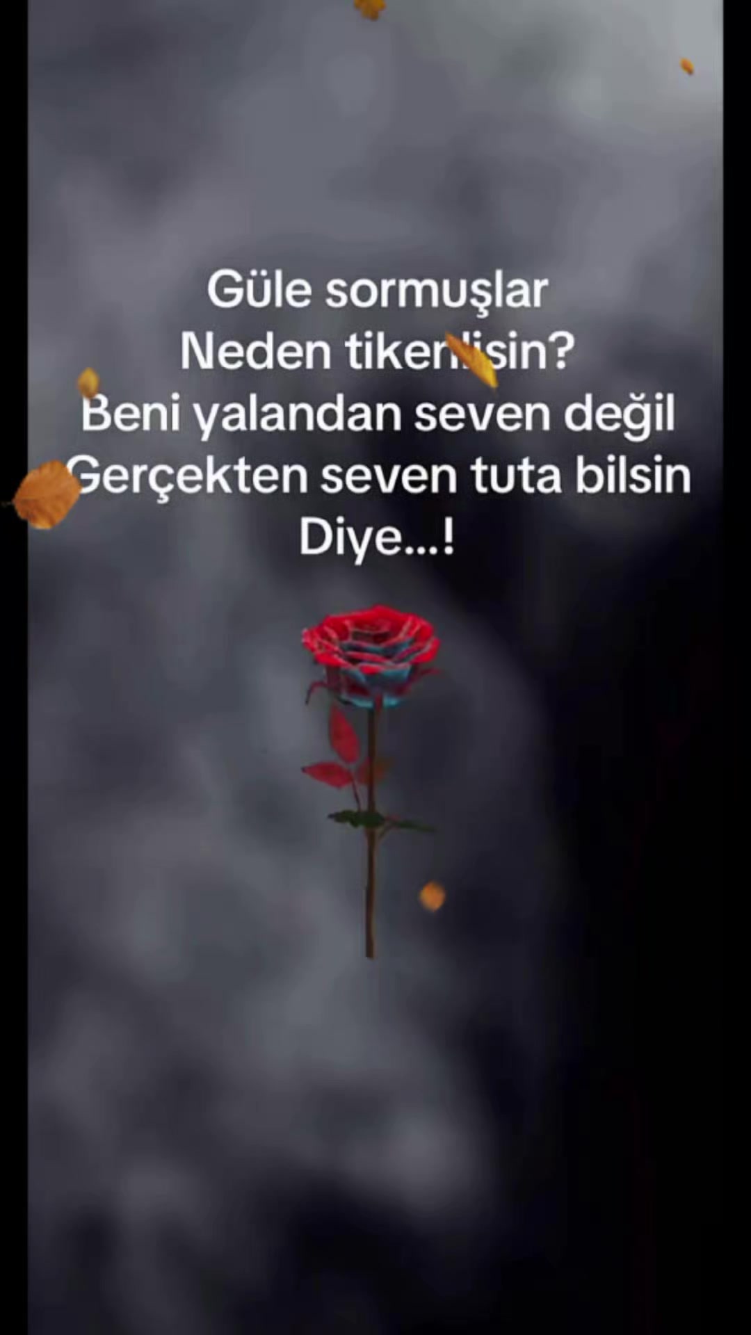 @🖤YARIM🖤KALMIŞ🖤HAYALLER🖤