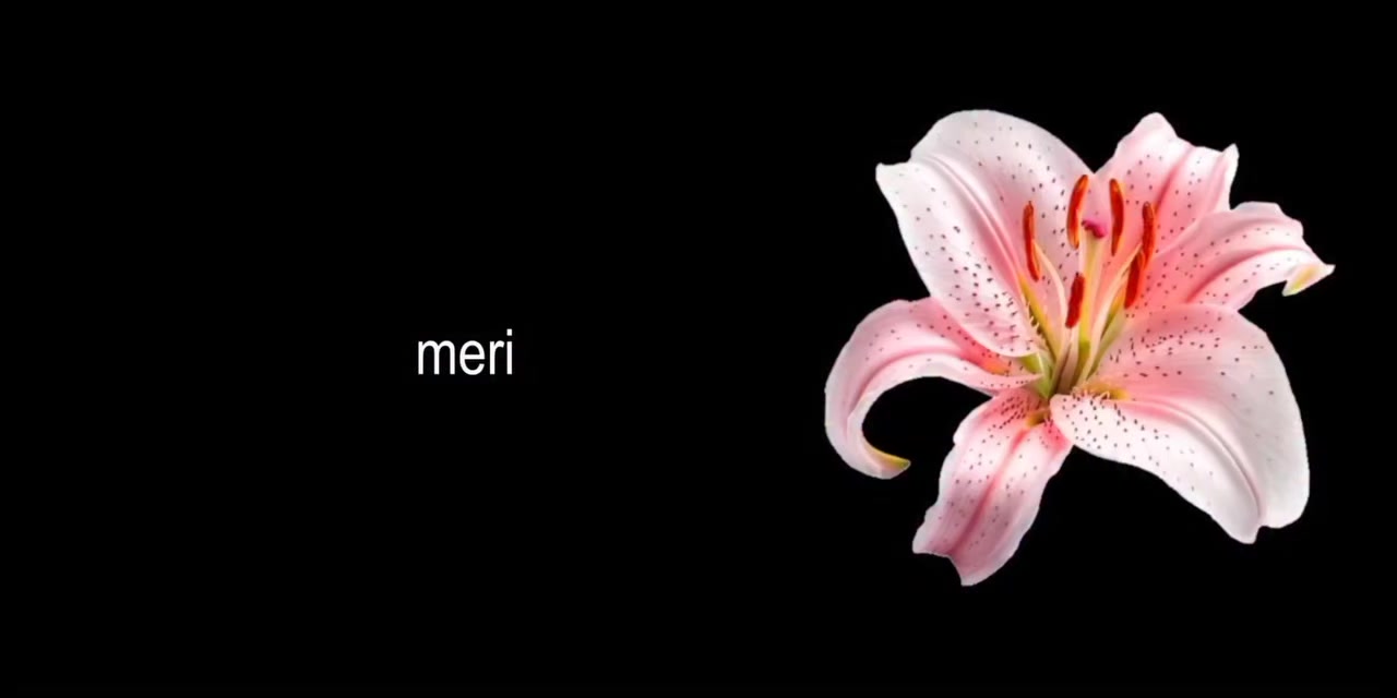@Jennifer L ๐ค