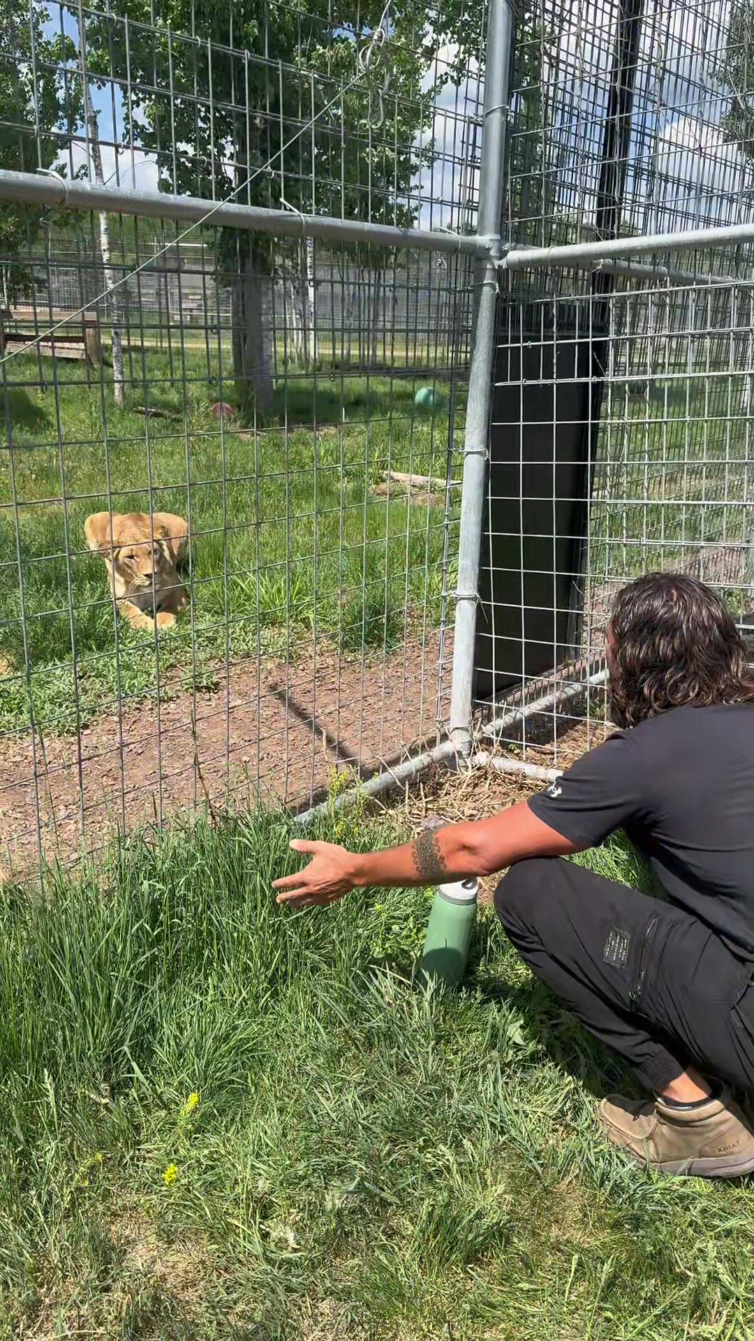 @The Wildcat Sanctuary