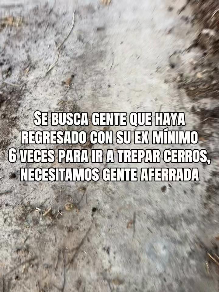 @Mitchell Tipacam&uacute;