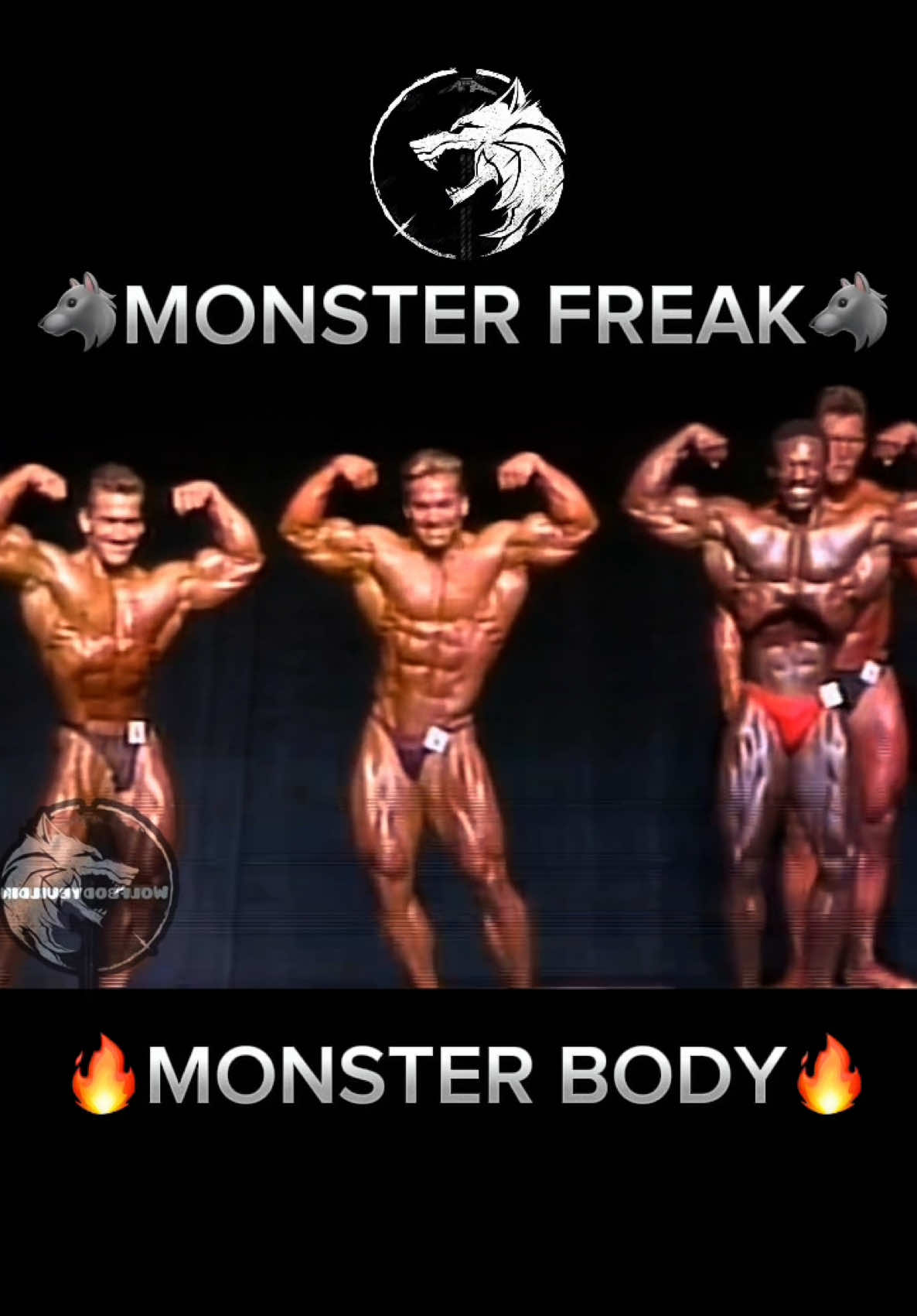 @wolfbodybuilding