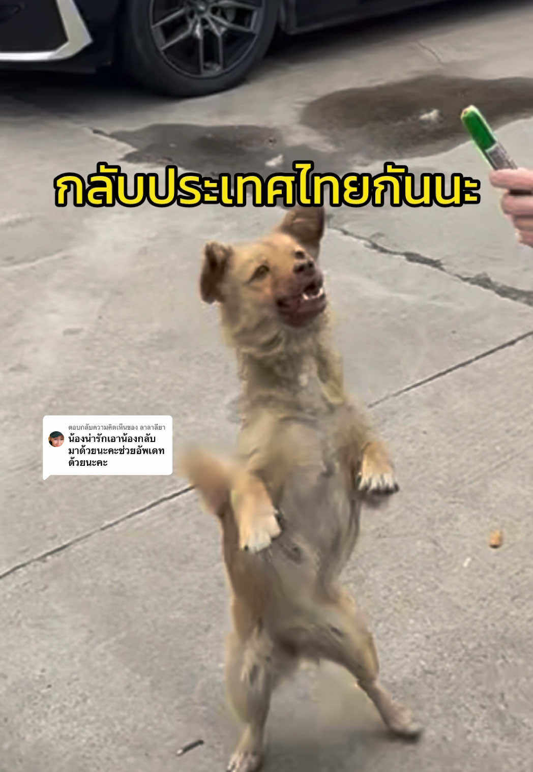 @ฟ้าบาร์บี้ช่องจริง