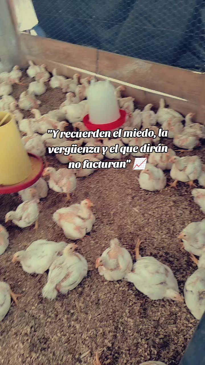 @ElyAlonzo