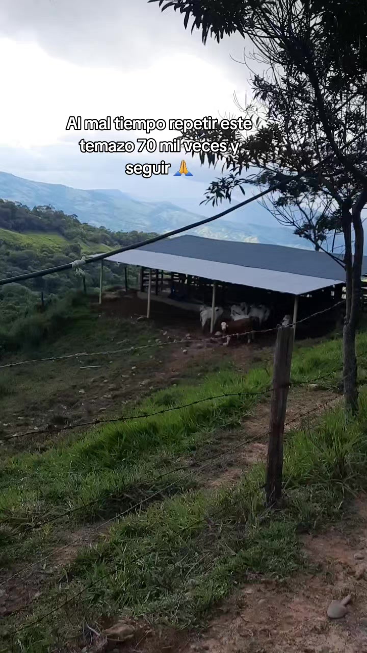@Lamona29