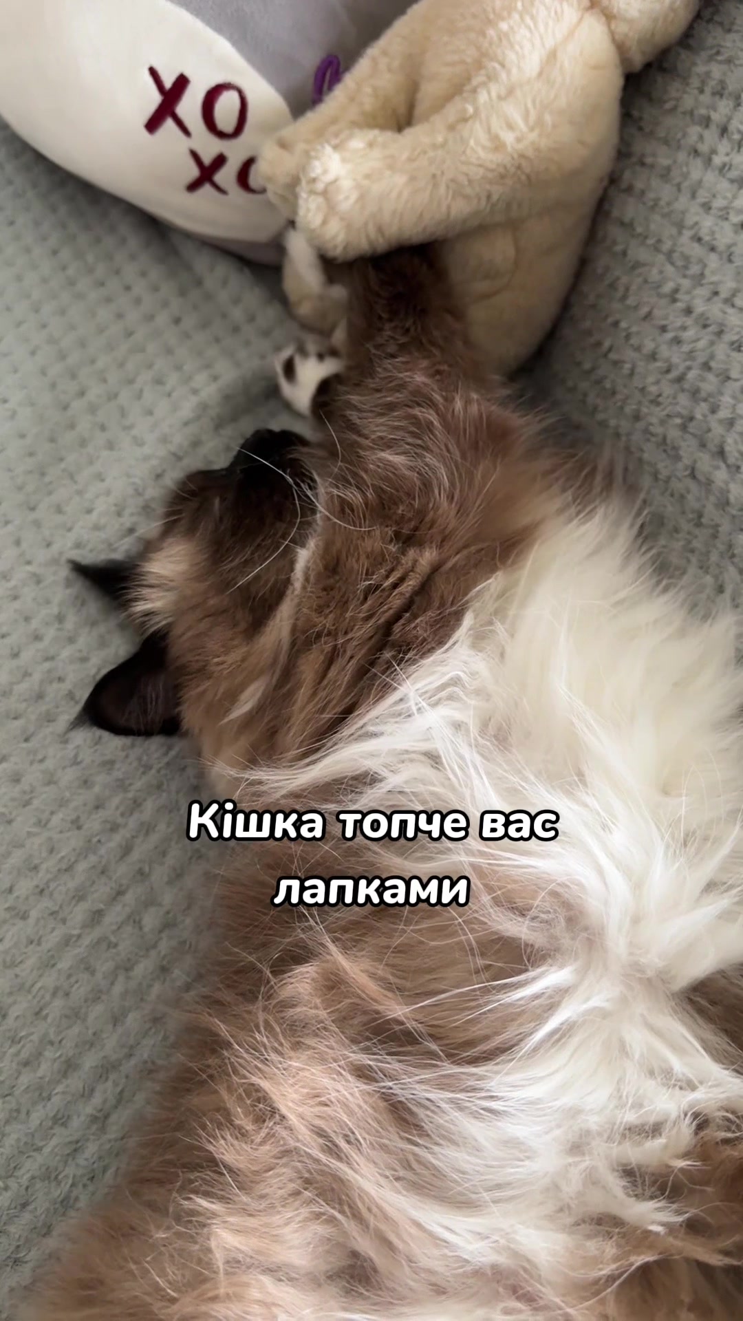 @Місс КІСЯ