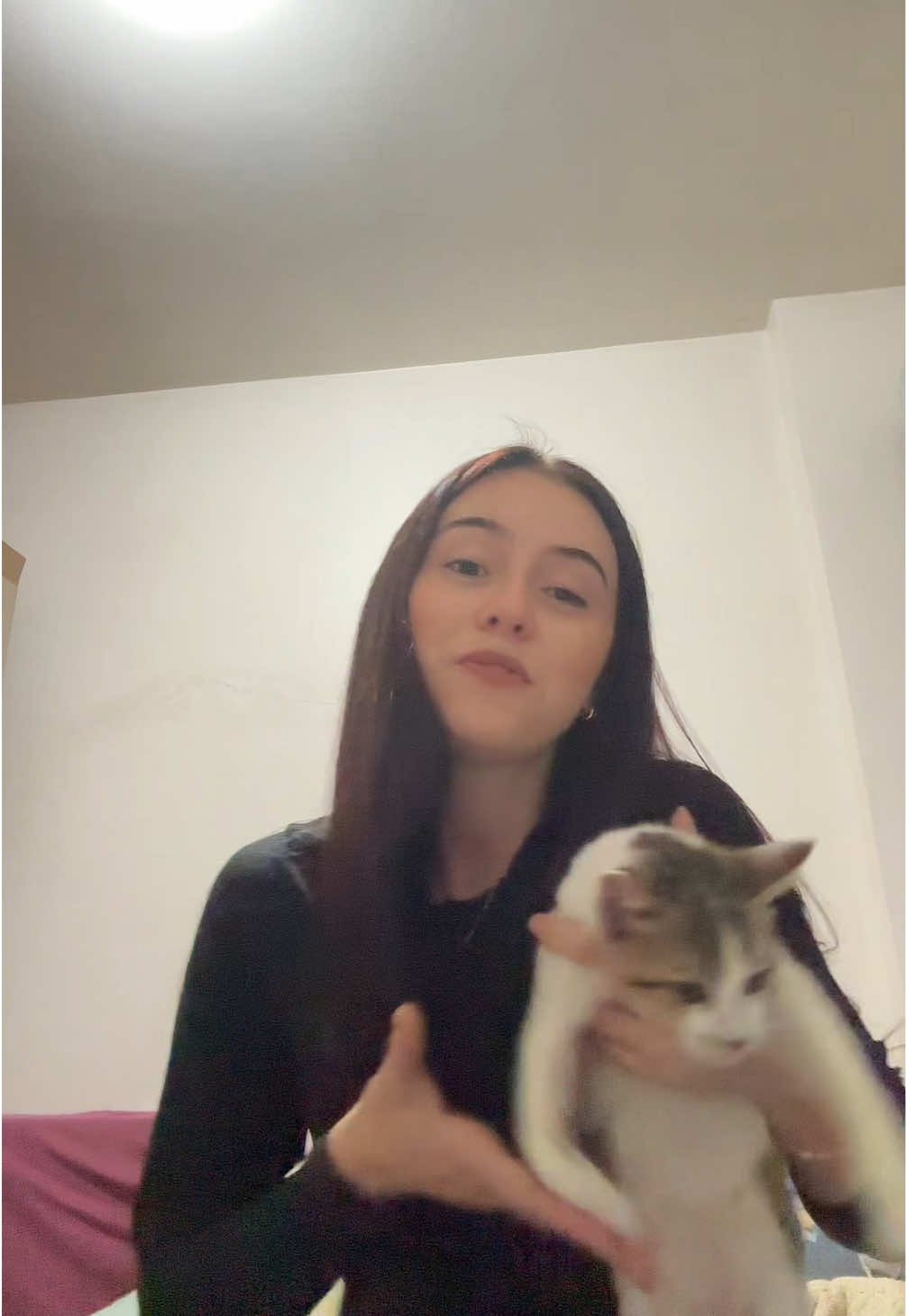 @laviniafaust
