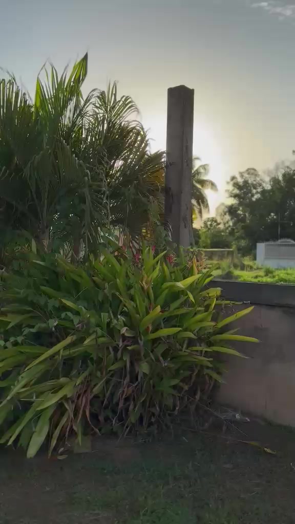 @luispuche21
