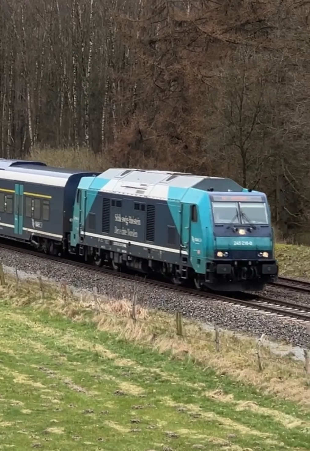 @Dieselparadies.Marschbahn