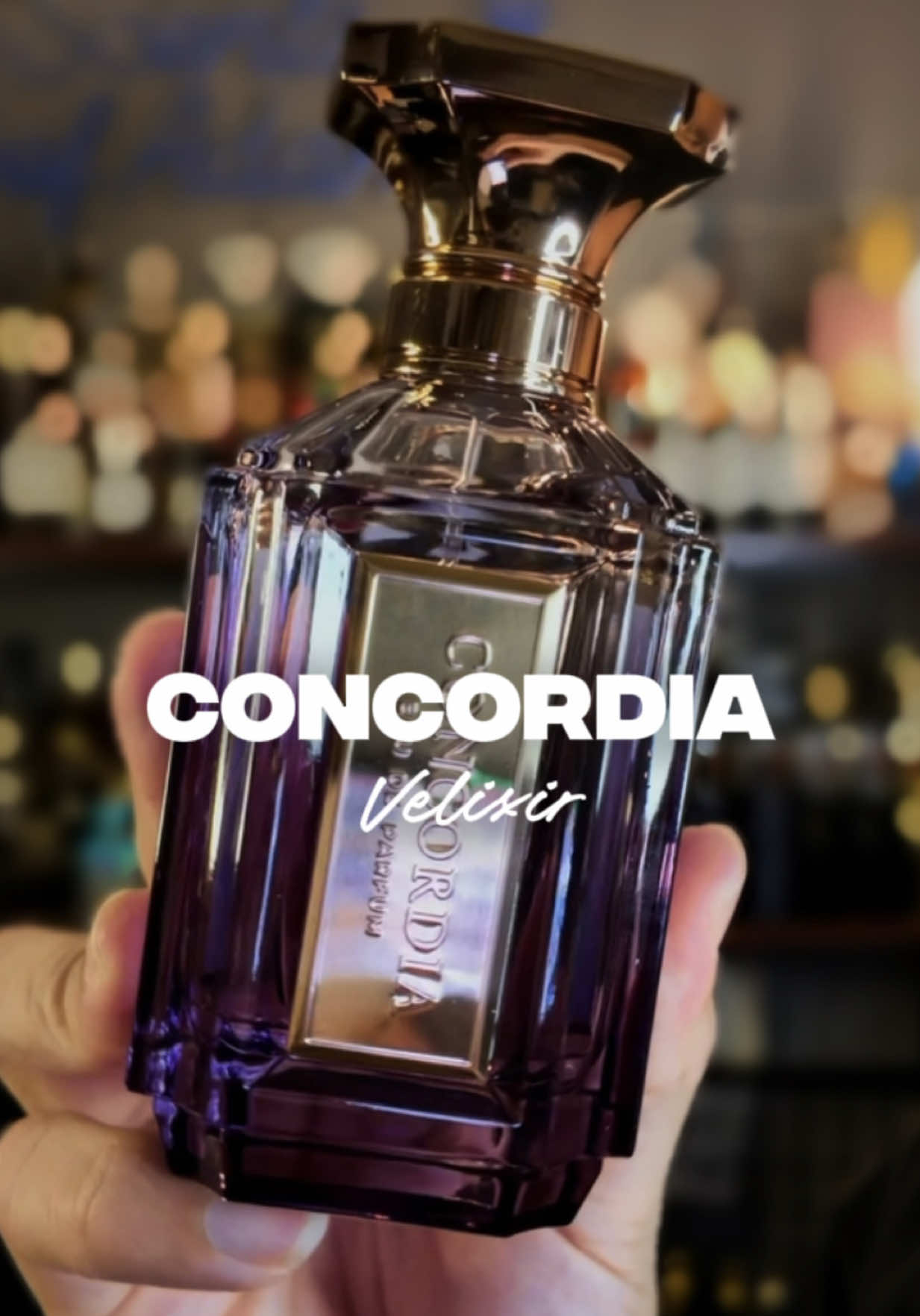 @Adam&rsquo;s Archive ✦