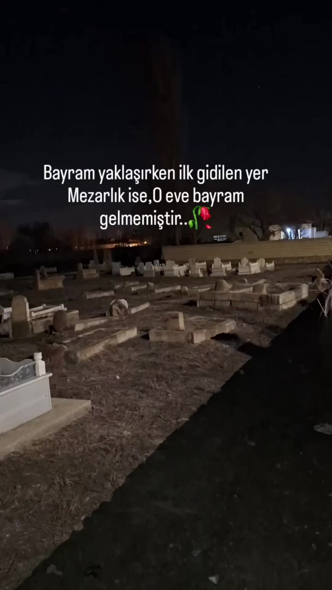 @Ayseoyaları42