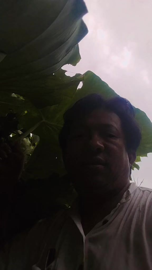 @surya prakash chemjong