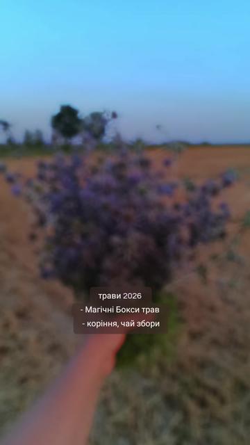 @Відьма_Цілитель_NestyArt🌛🌝🌜